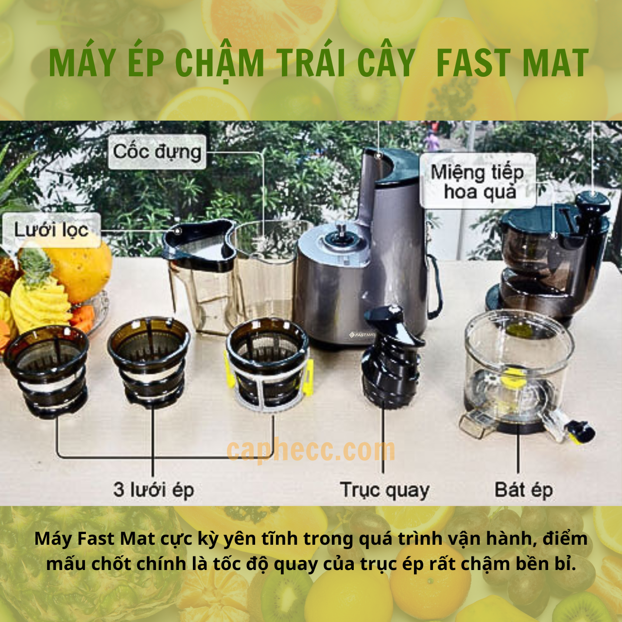 fast mat 04