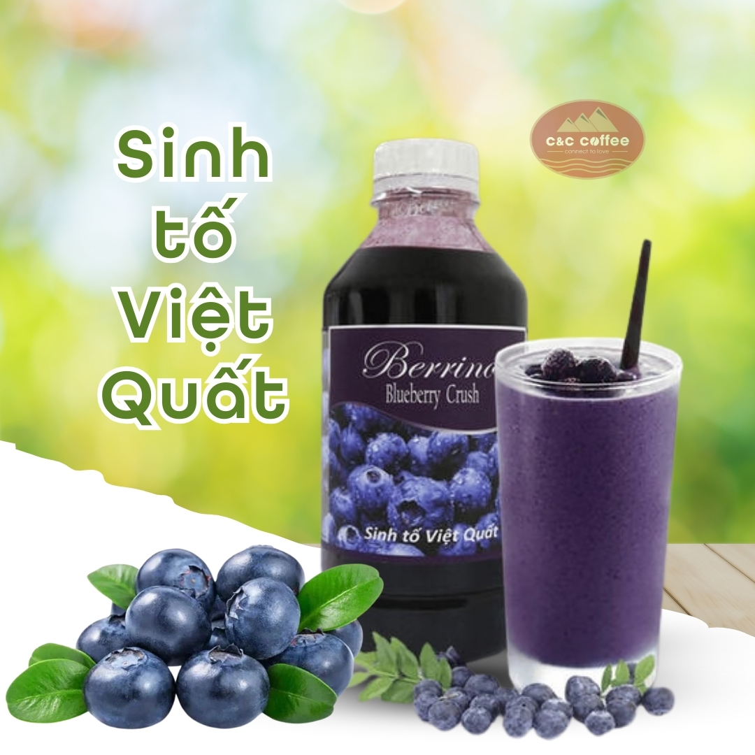 sinh to viet quat (1)